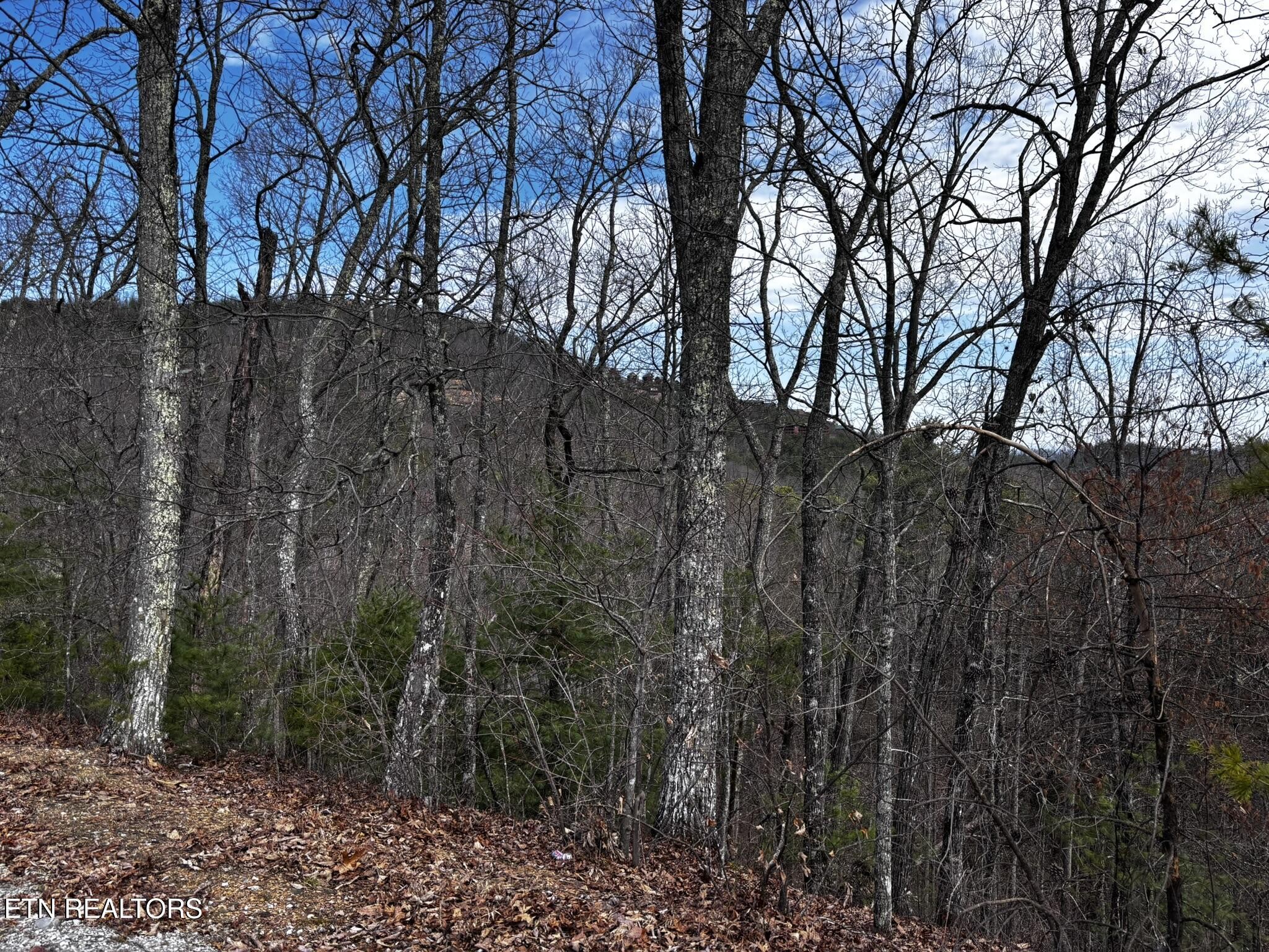 43 Harvest Moon Road Sevierville, TN 37862 - Photo 33 of 33 Gallery Image 33