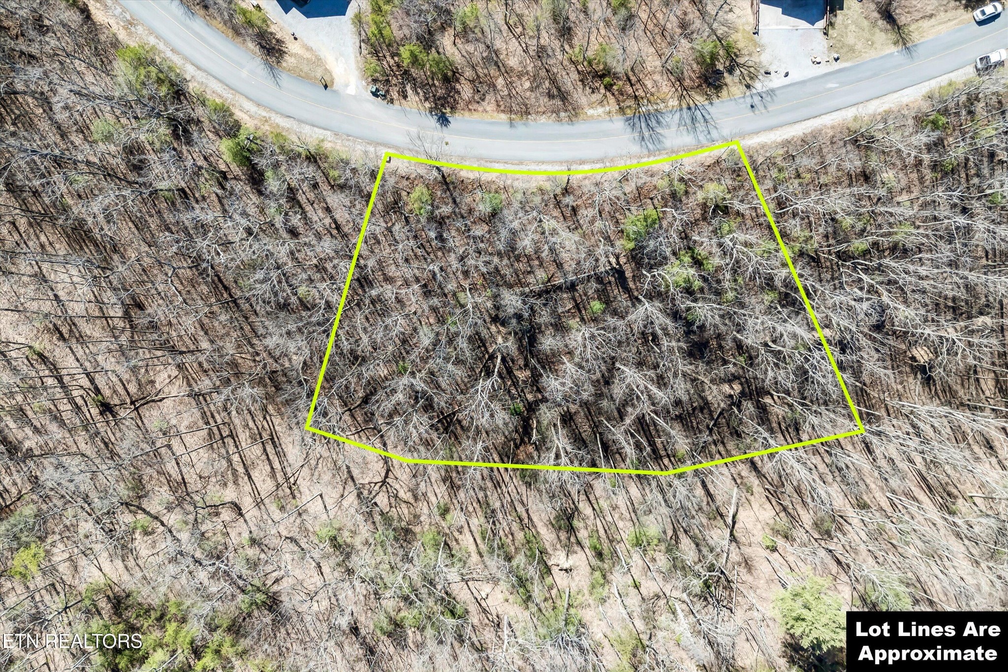 43 Harvest Moon Road Sevierville, TN 37862 - Photo 4 of 33 Gallery Image 4