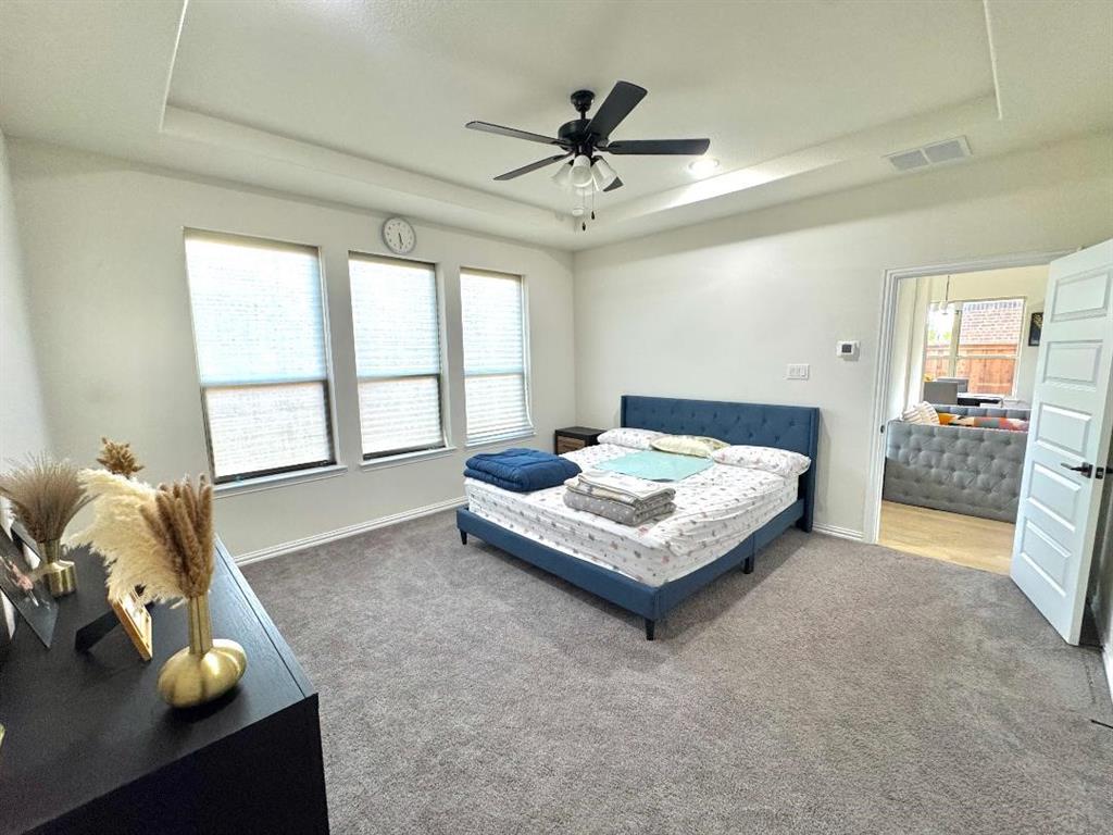 3837 PEARLWOOD Road Little Elm, TX 75068 - Photo 15 of 25 Gallery Image 15