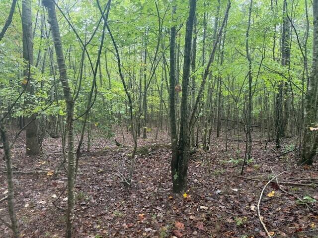 13 Sawmill Road, Unit 13 Palmer, TN 37365 - Photo 11 of 16 10