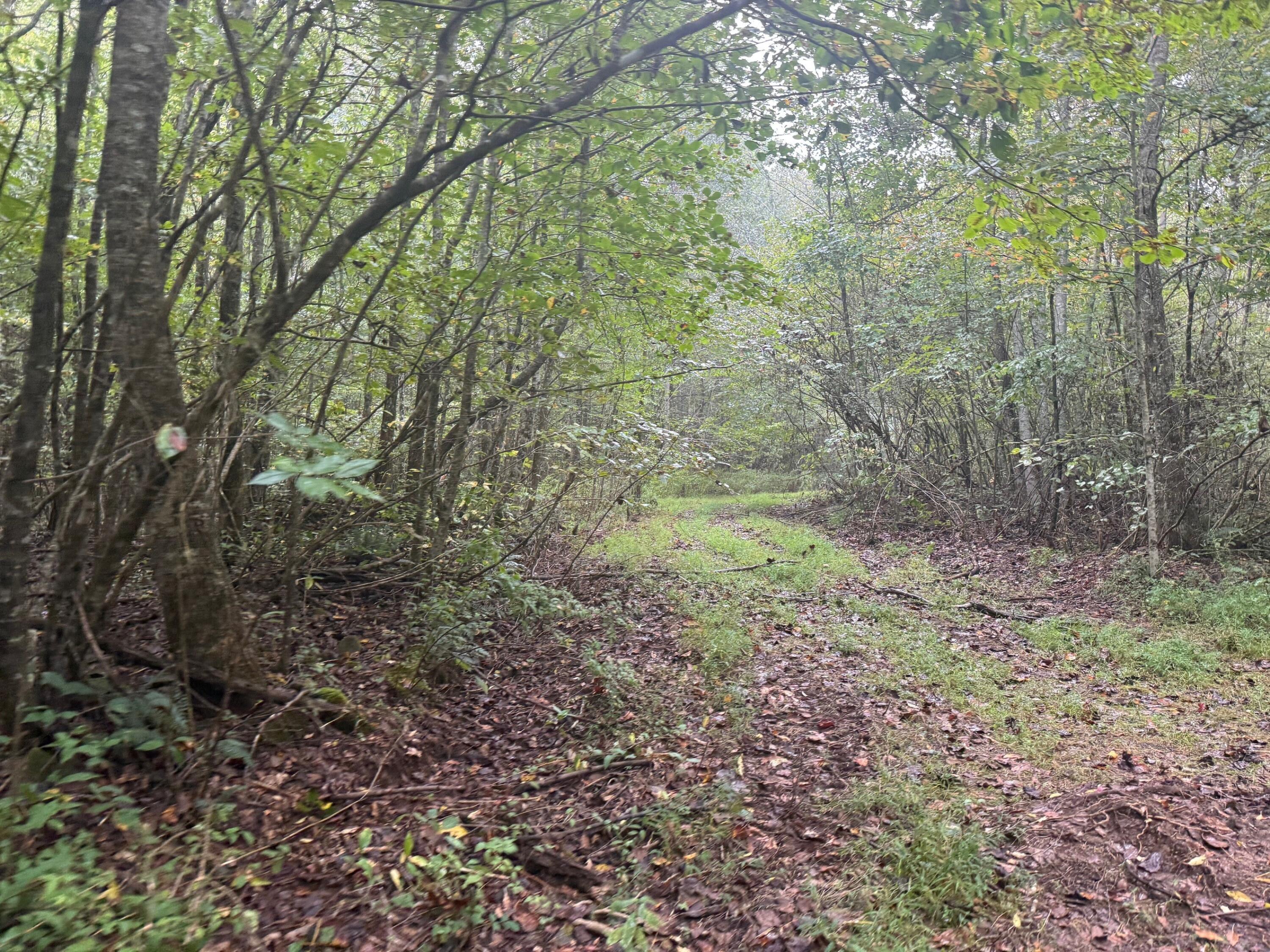 13 Sawmill Road, Unit 13 Palmer, TN 37365 - Photo 3 of 16 13