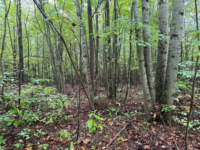 13 Sawmill Road, Unit 13 Palmer, TN 37365 - Photo 8 of 16 7