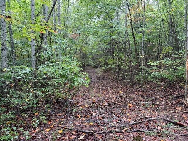 13 Sawmill Road, Unit 13 Palmer, TN 37365 - Photo 9 of 16 8