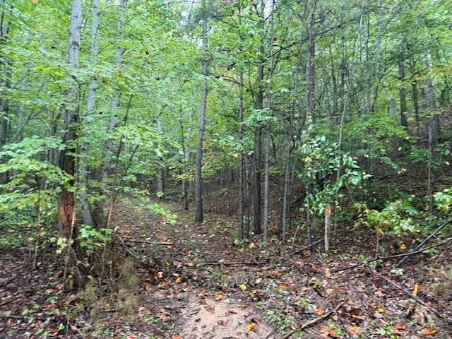 13 Sawmill Road, Unit 13 Palmer, TN 37365 - Photo 10 of 16 9