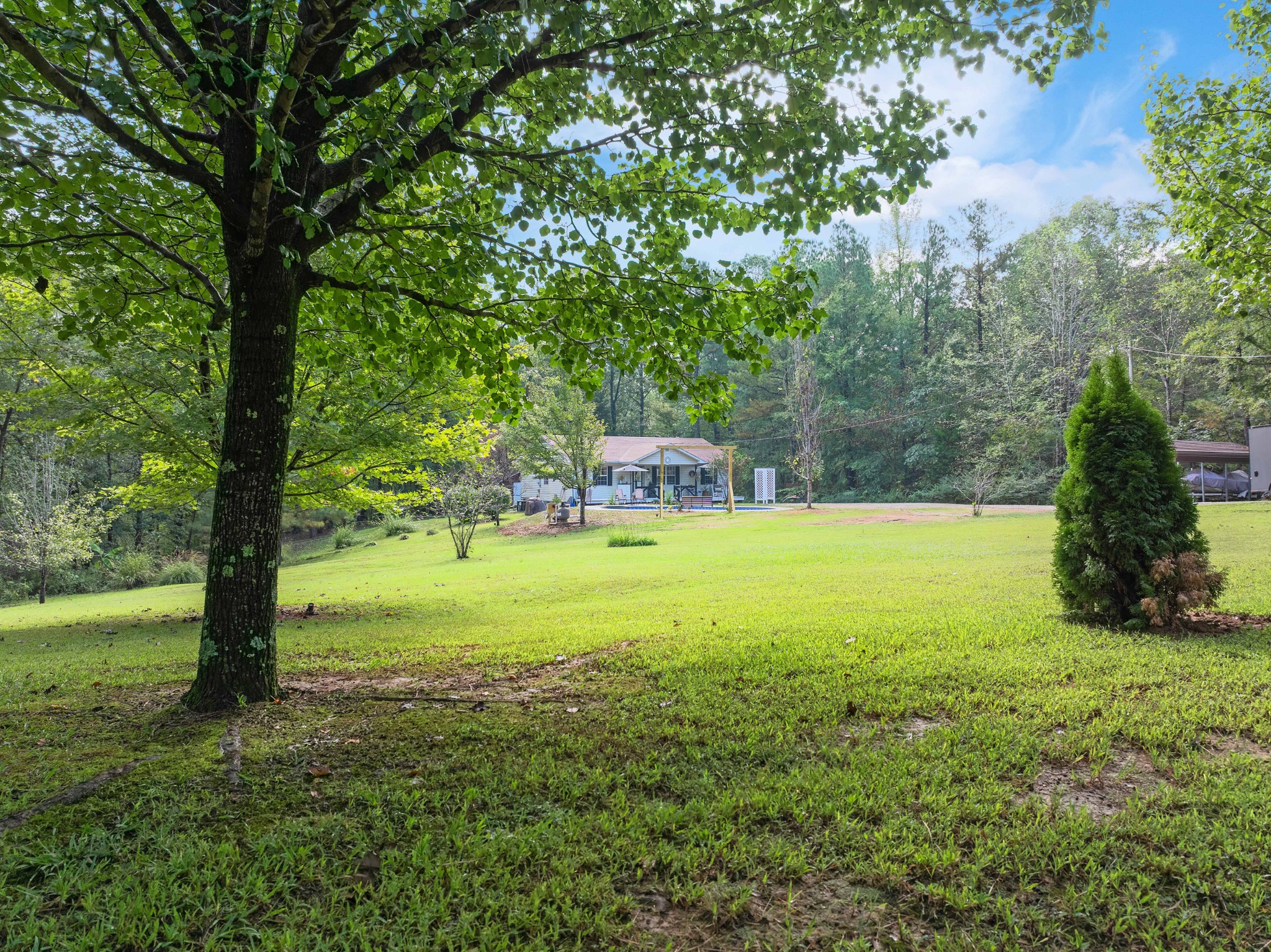 5935 Old Stage Road Huntingdon, TN 38344 - Photo 9 of 29 a view of a field with a tree