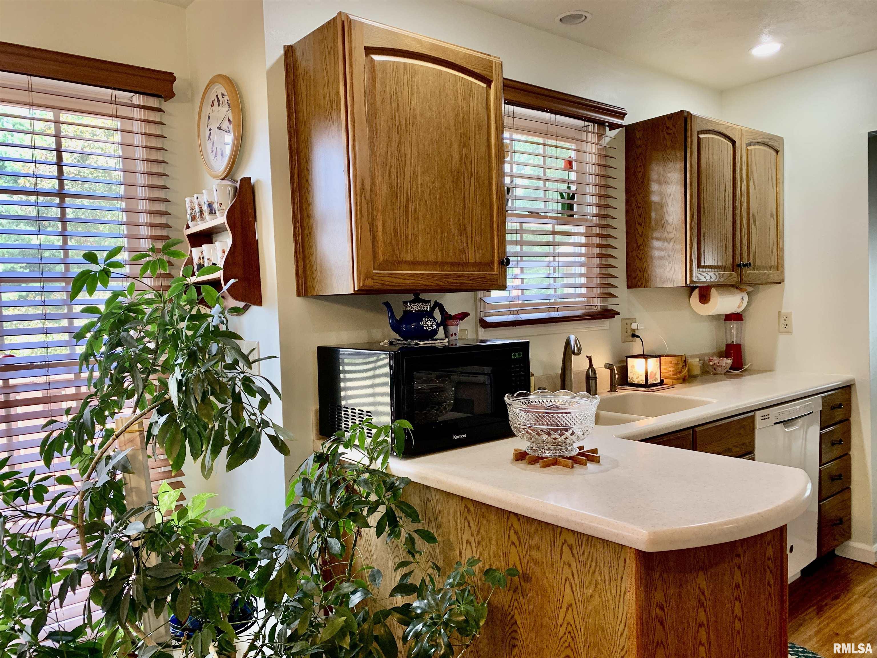 4 Hamilton Drive Jacksonville, IL 62650 - Photo 24 of 57