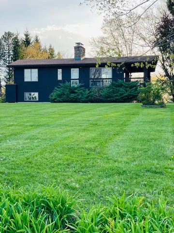 a view of a trees with a big yard