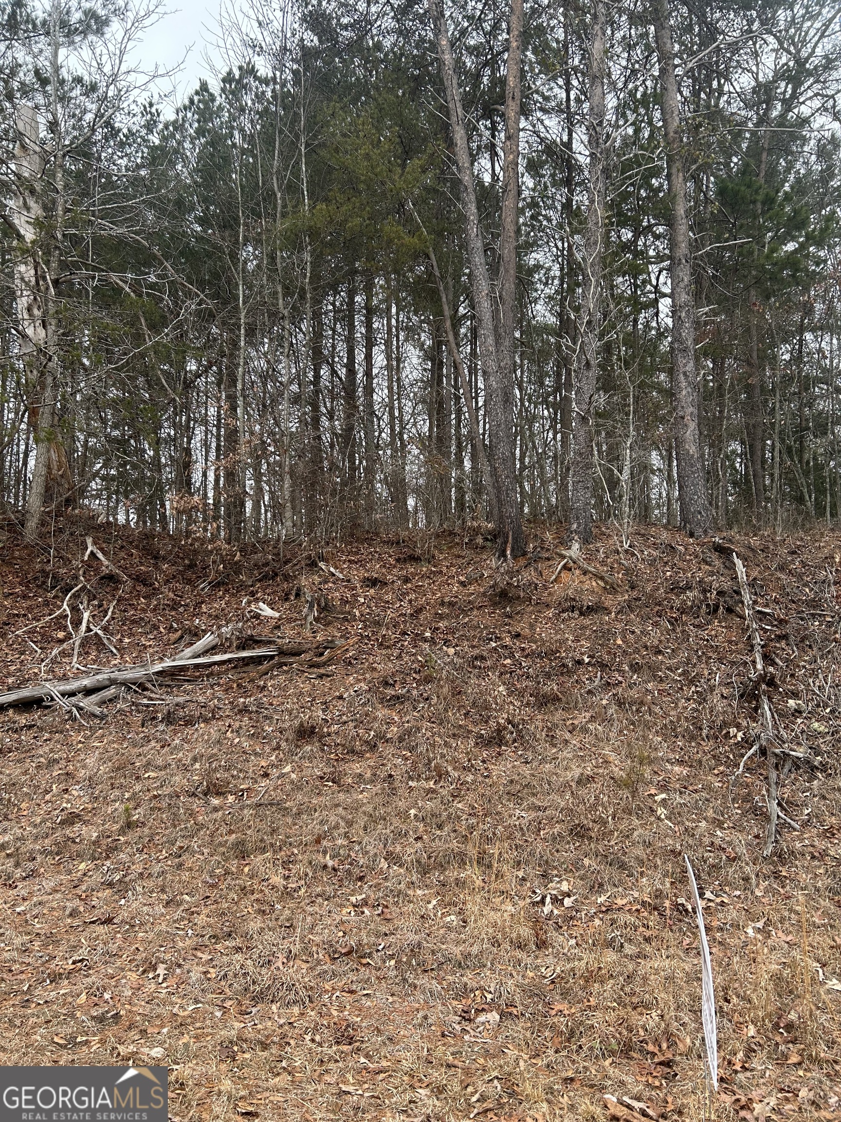 3 East Silver Shoals Road Toccoa, GA 30577 - Photo 2 of 3