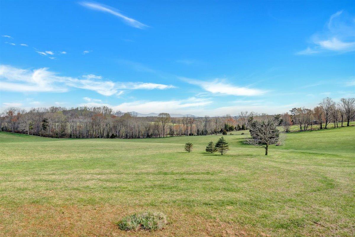 1138 Altice Road Moneta, VA 24121 - Photo 7 of 34 Lot view