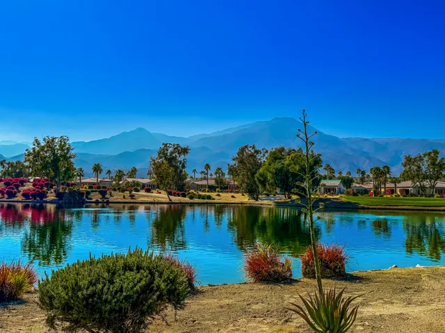 a view of a lake with boats and palm trees
