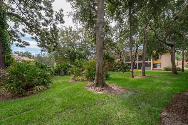 a view of a backyard with large trees