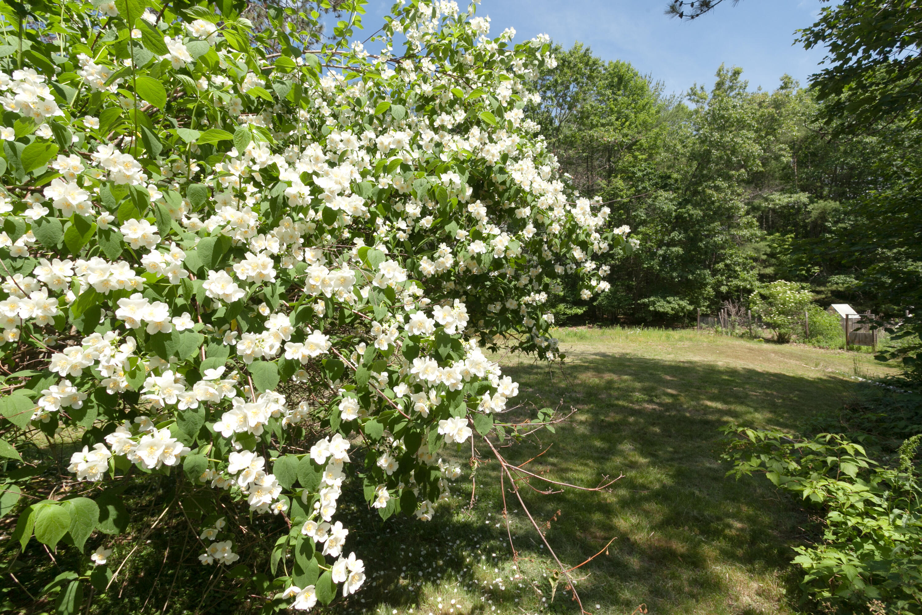 15 Old Logging Road North Berwick, ME 03906 - Photo 26 of 46 5419