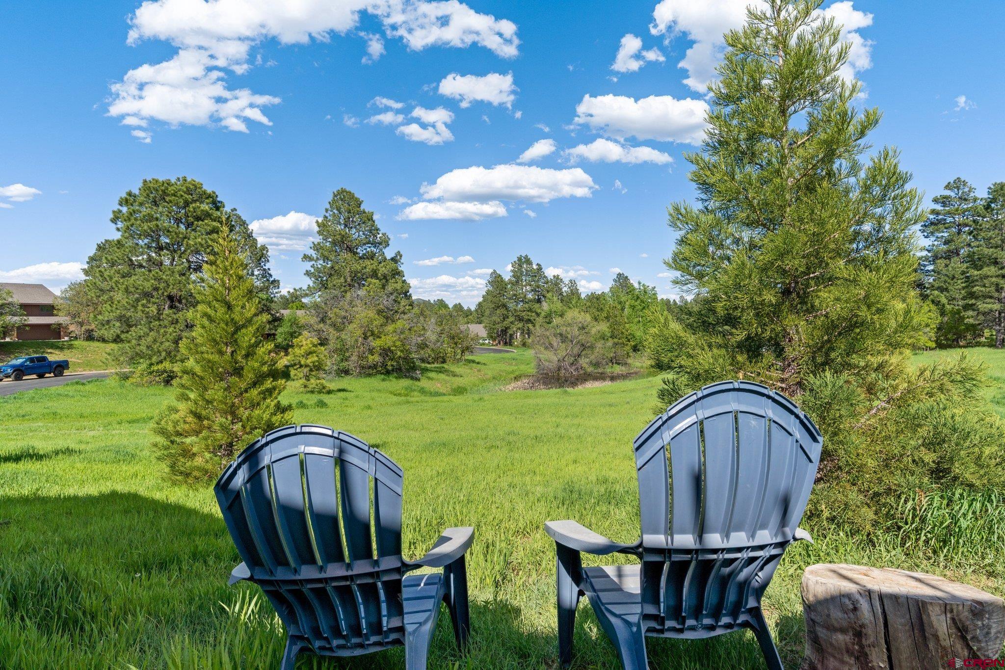 238 Pine Ridge Loop, Unit A1 Durango, CO 81301 - Photo 31 of 35 a backyard of a house with table and chairs