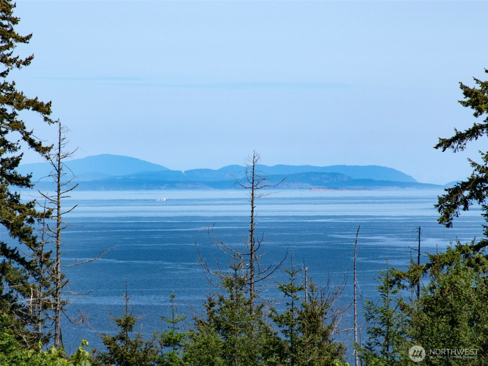 9999 View Ridge Drive Sequim, WA 98382 - Photo 11 of 40