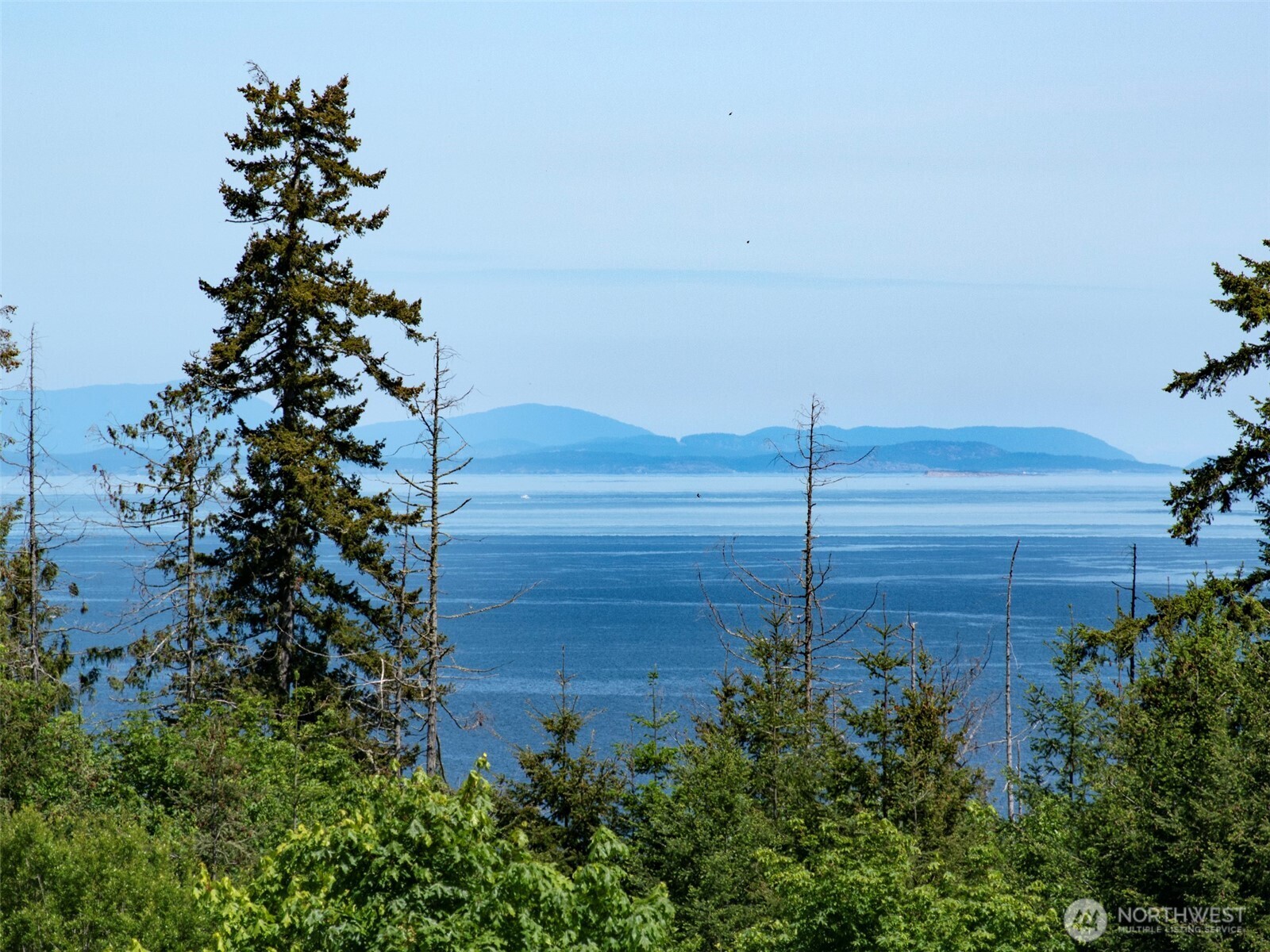 9999 View Ridge Drive Sequim, WA 98382 - Photo 12 of 40