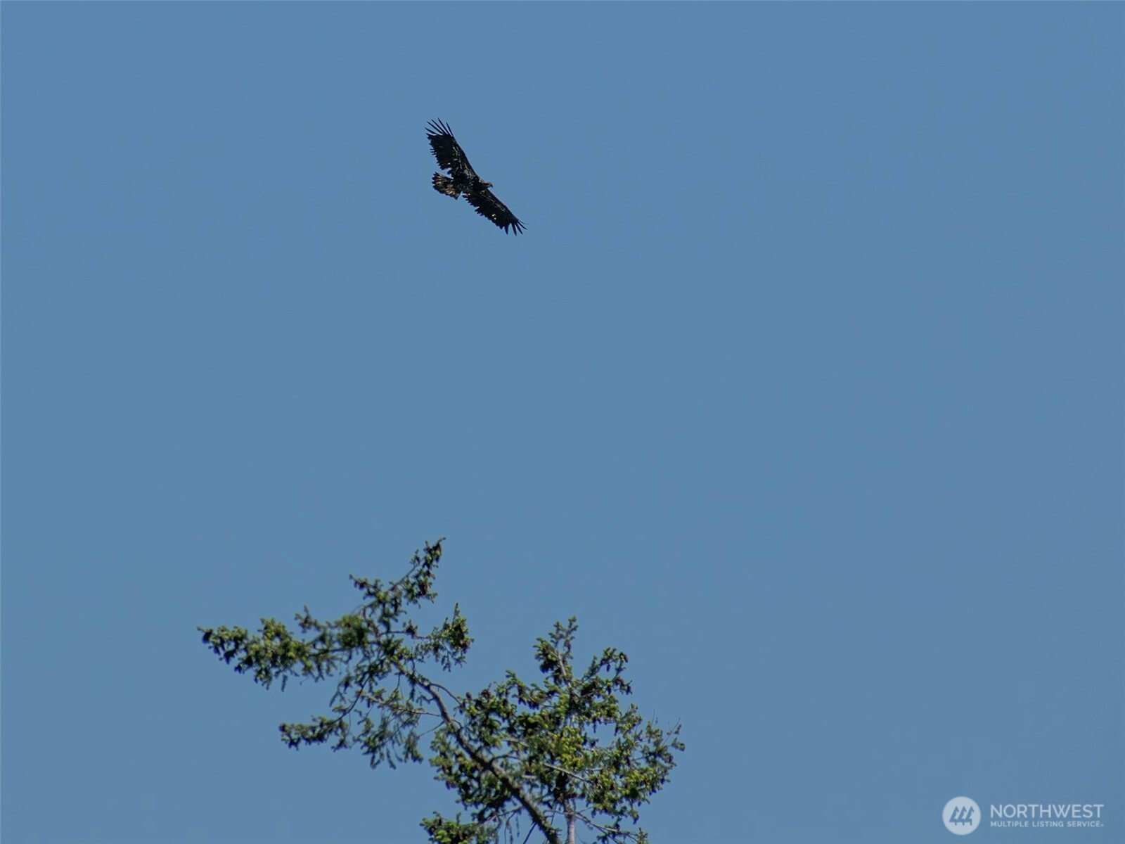 9999 View Ridge Drive Sequim, WA 98382 - Photo 13 of 40