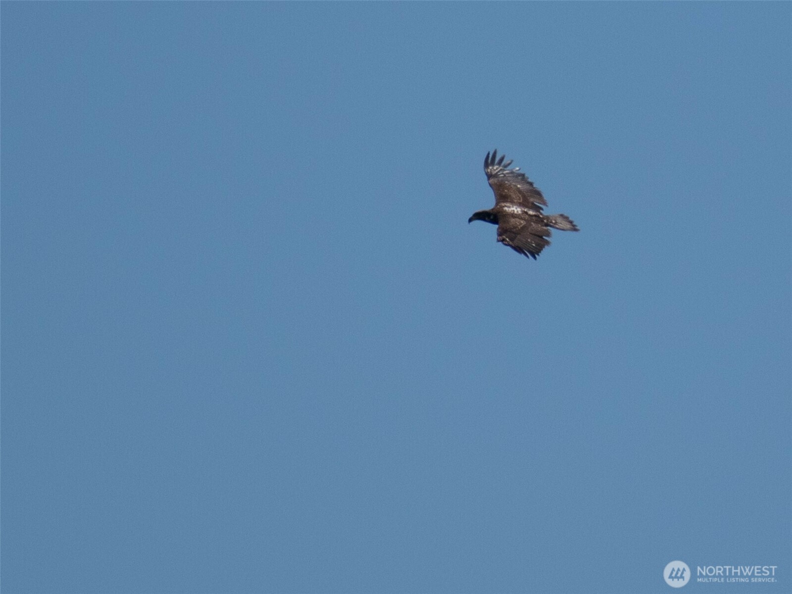 9999 View Ridge Drive Sequim, WA 98382 - Photo 14 of 40