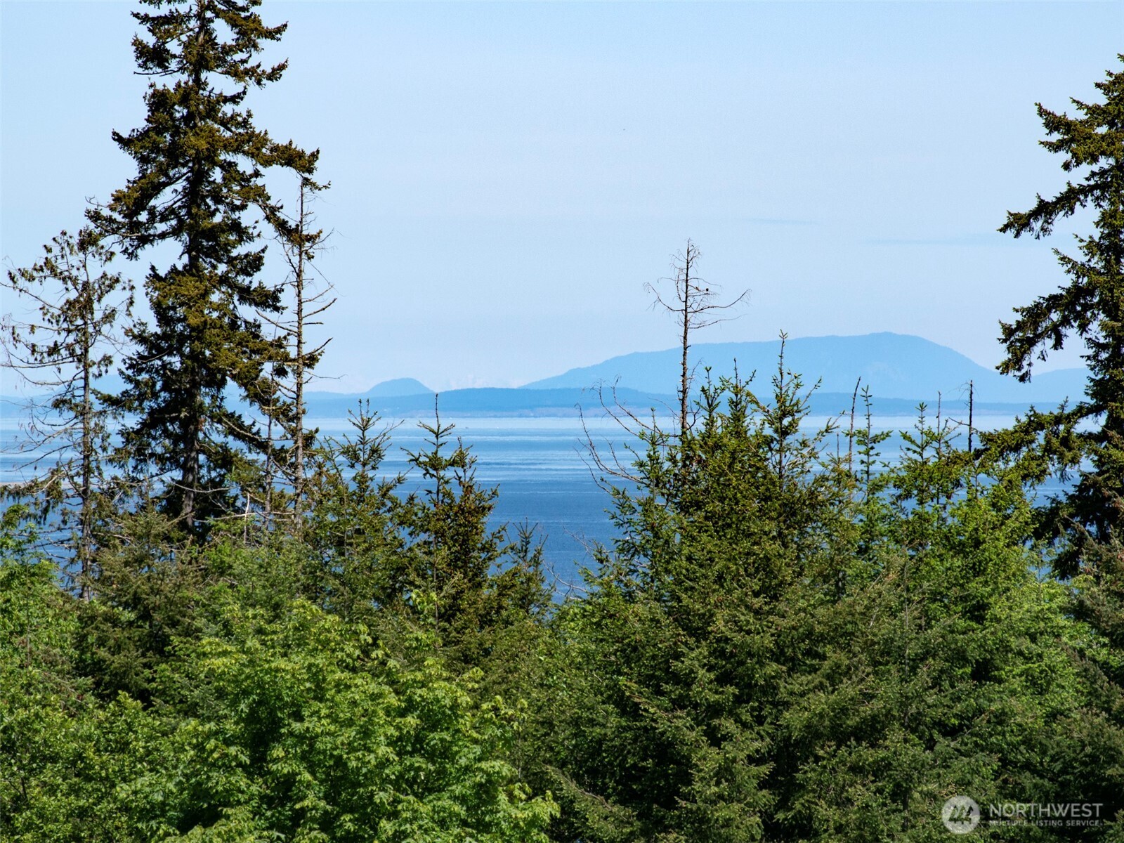 9999 View Ridge Drive Sequim, WA 98382 - Photo 17 of 40