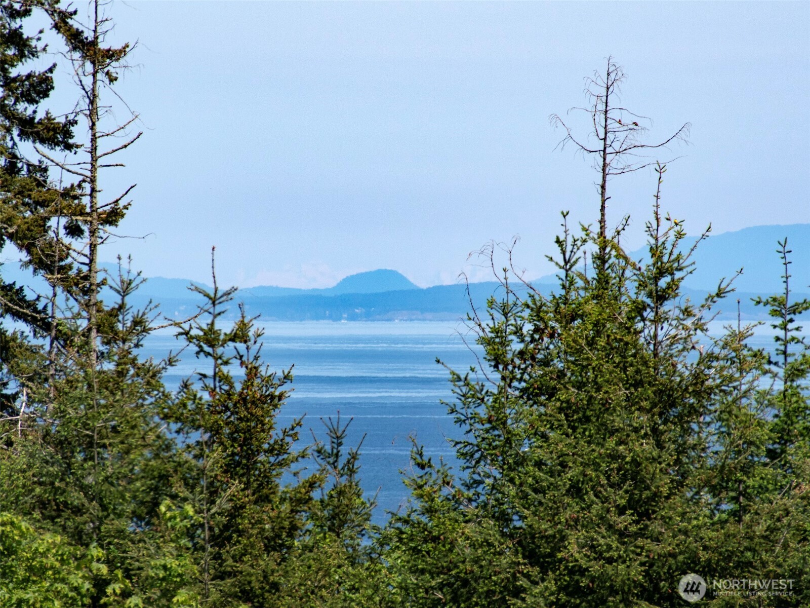 9999 View Ridge Drive Sequim, WA 98382 - Photo 18 of 40