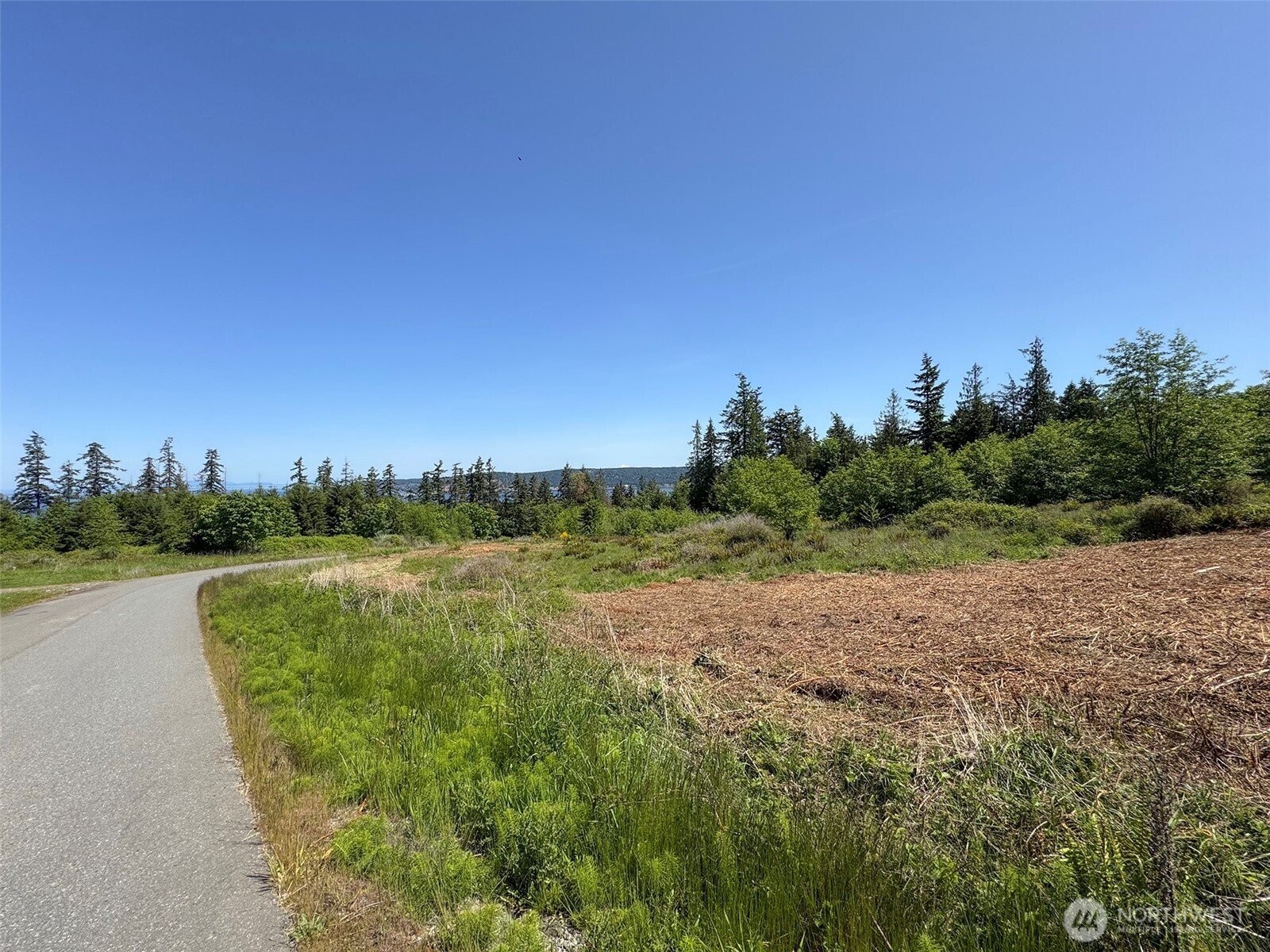 9999 View Ridge Drive Sequim, WA 98382 - Photo 21 of 40