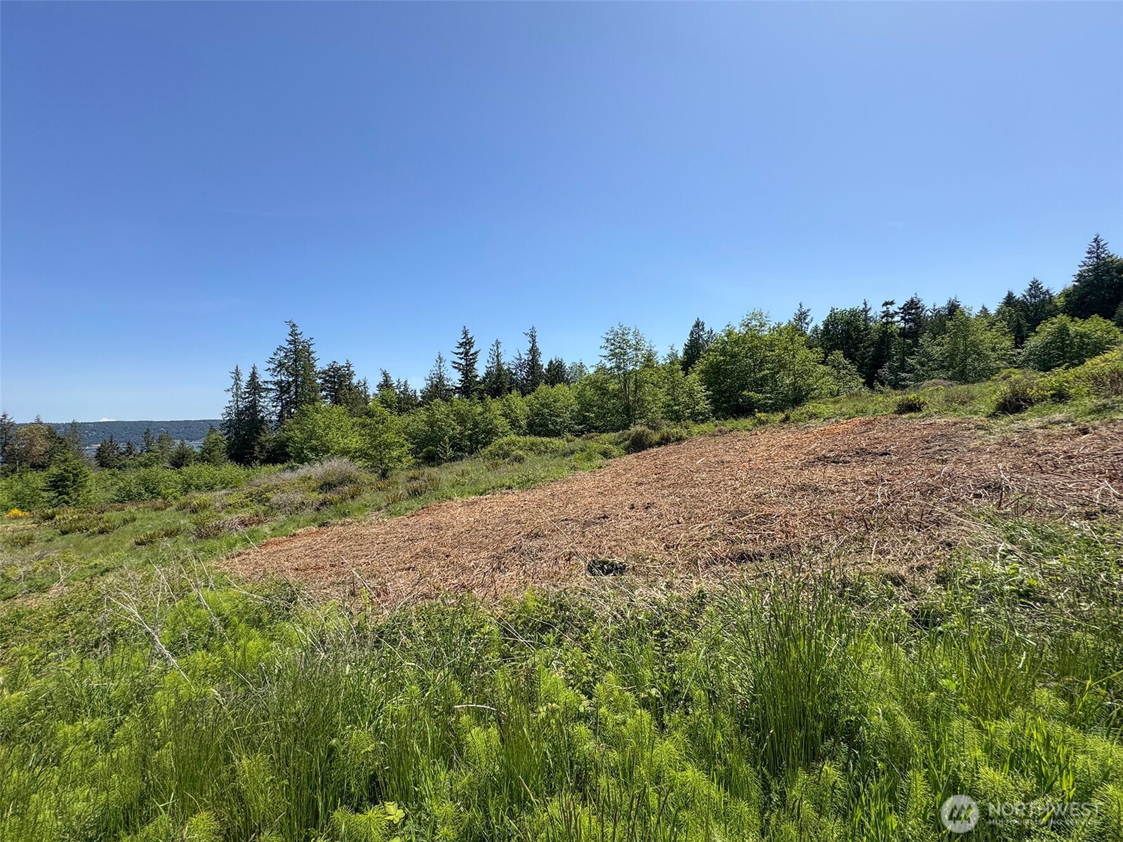 9999 View Ridge Drive Sequim, WA 98382 - Photo 22 of 40