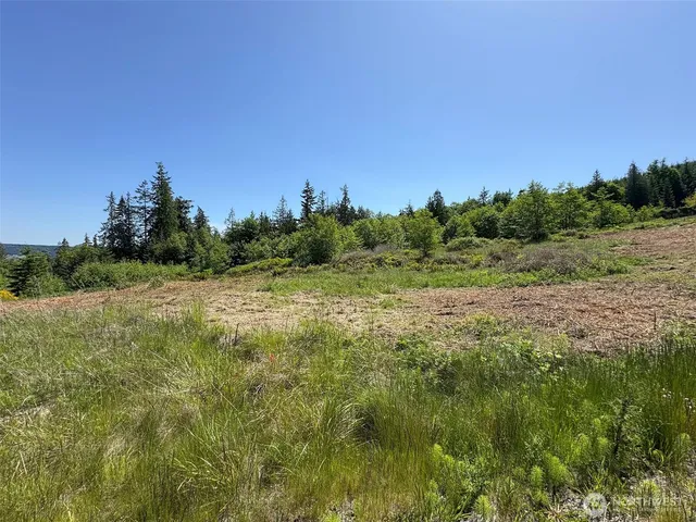 $150,000 | 9999 View Ridge Drive, Sequim, WA 98382