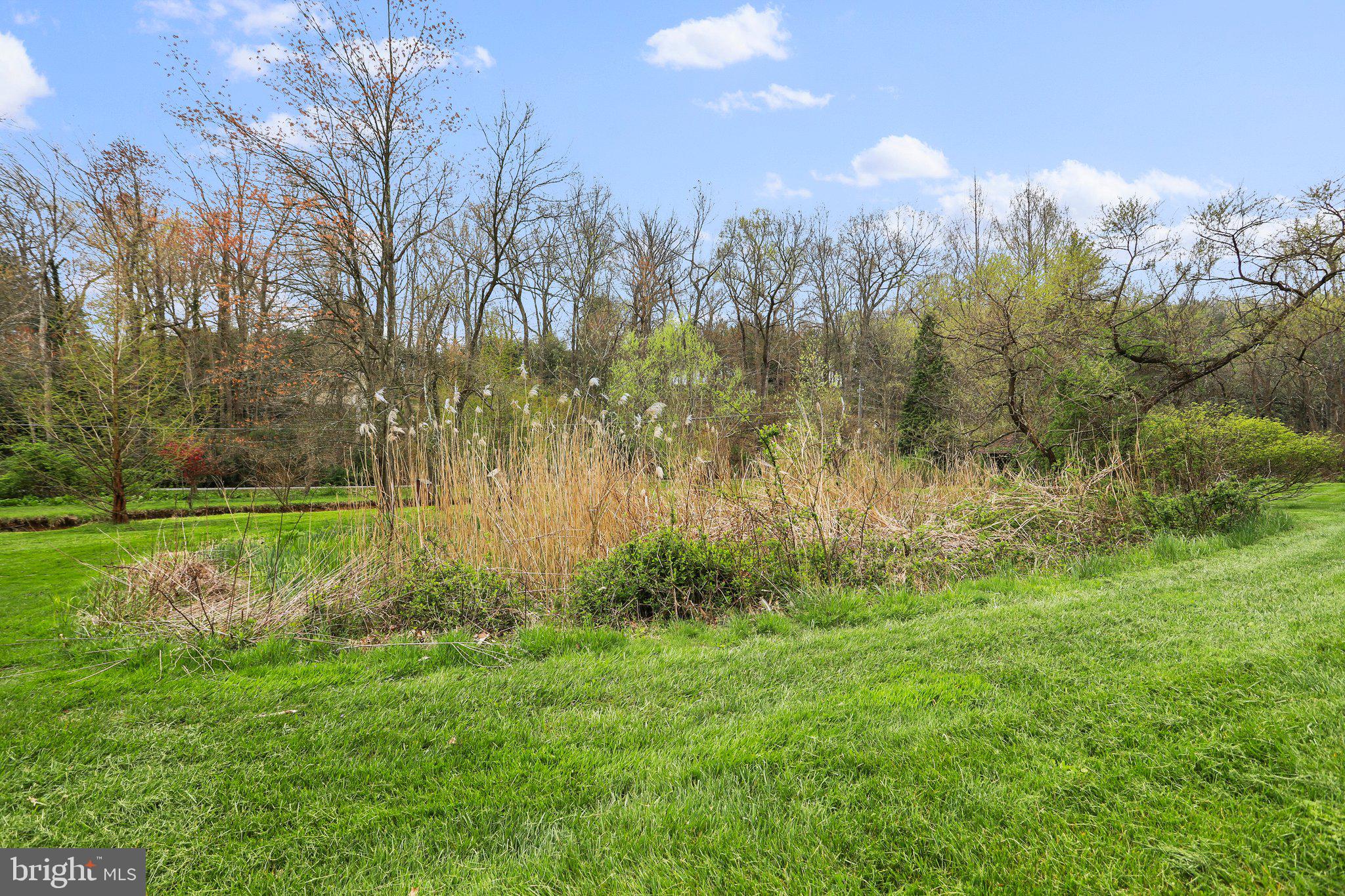 4500 Gross Mill Road Hampstead, MD 21074 - Photo 40 of 68 Front yard is lush and private!