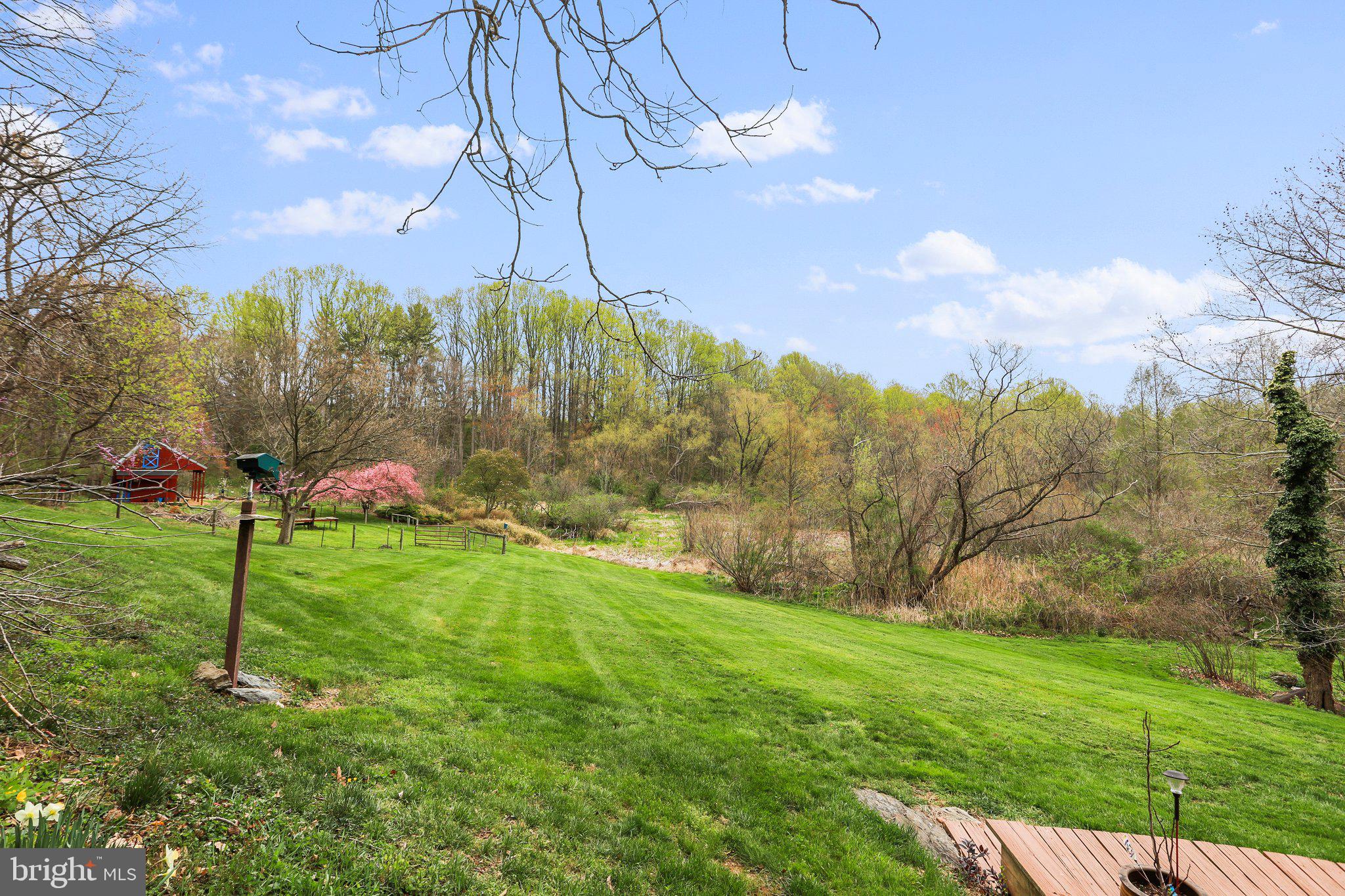 4500 Gross Mill Road Hampstead, MD 21074 - Photo 51 of 68 Pasture for goats and/or other small livestock!