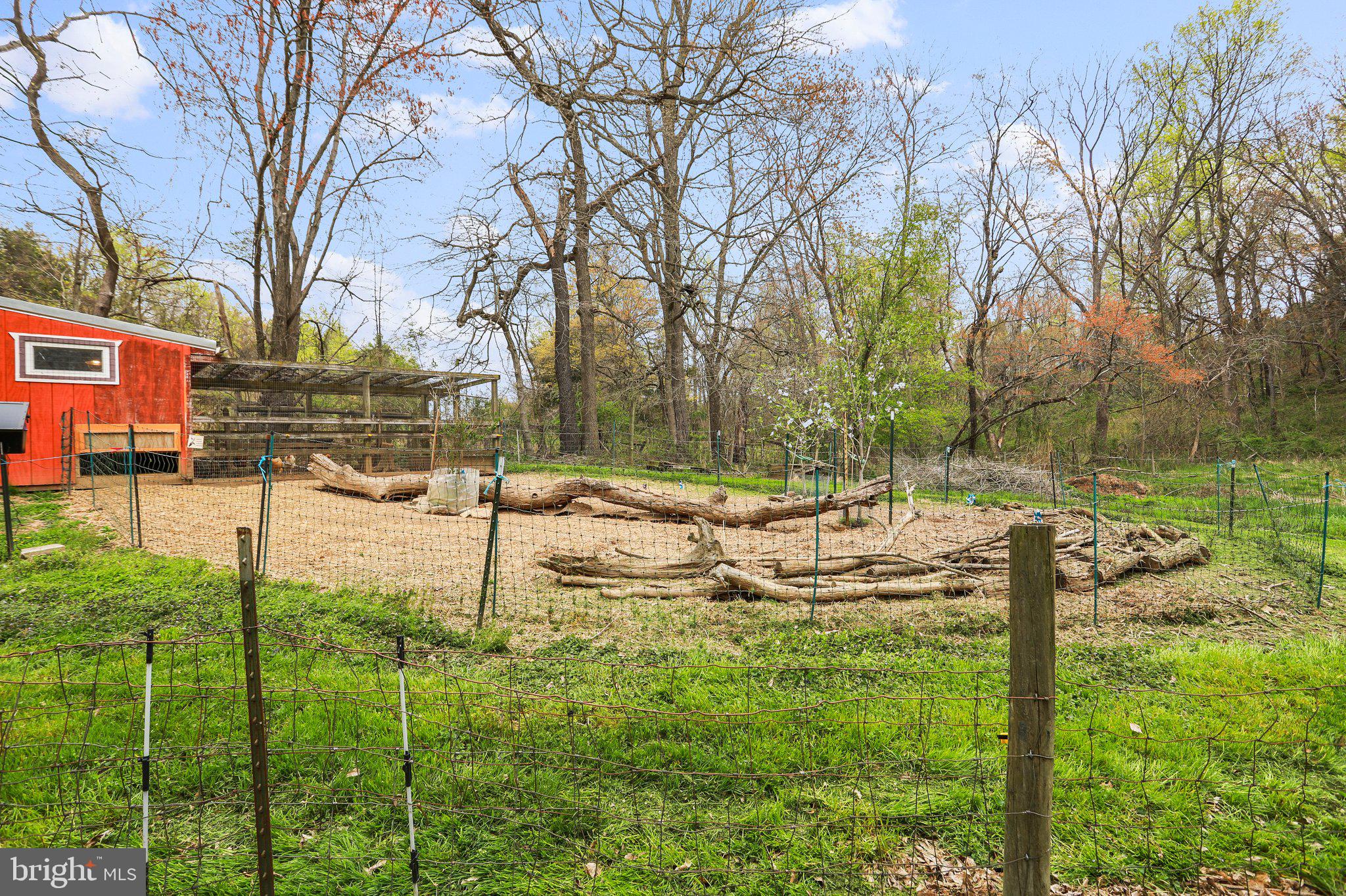 4500 Gross Mill Road Hampstead, MD 21074 - Photo 54 of 68 Electric fenced in chicken run!
