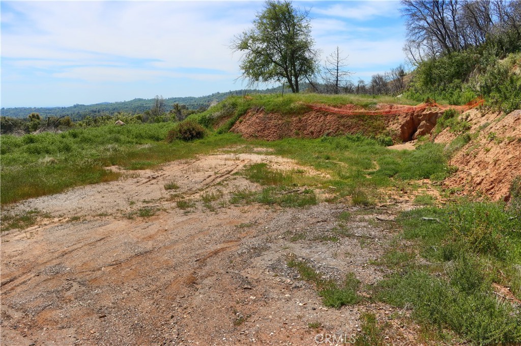 4632 Triangle Road Mariposa, CA 95338 - Photo 12 of 26 a view of a field with an trees