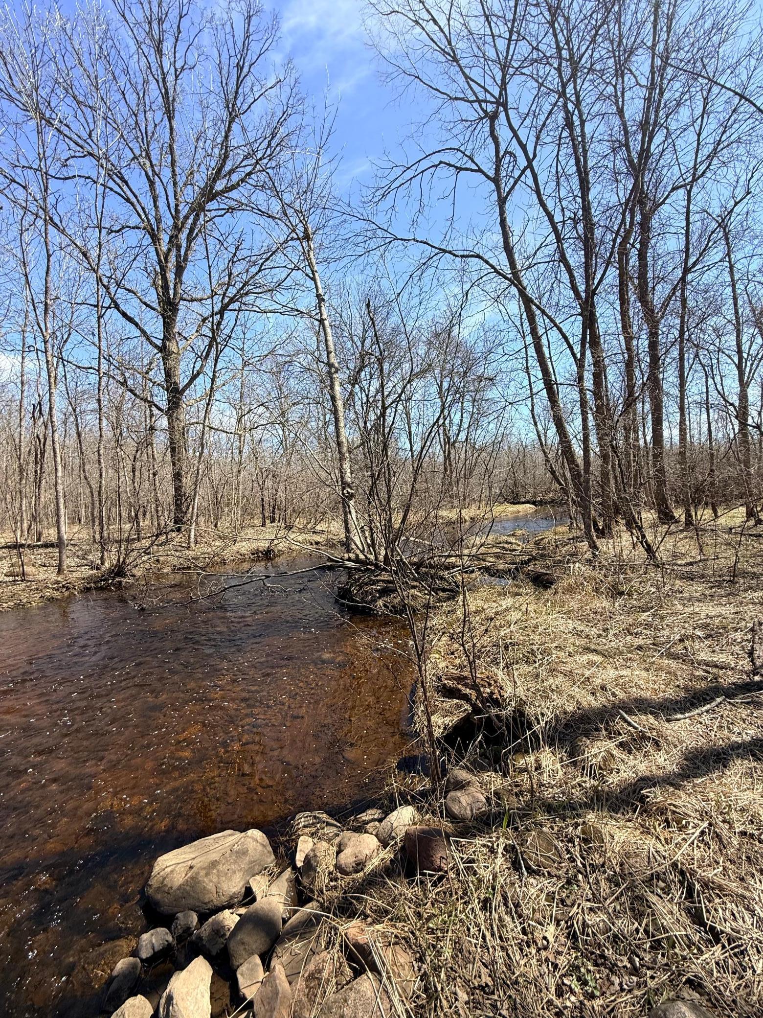 Xxx Rice Road Brook Park, MN 55007 - Photo 17 of 27 Gallery Image 17