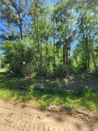 $20,000 | 3 Cindy Lane, Shepherd, TX 77371