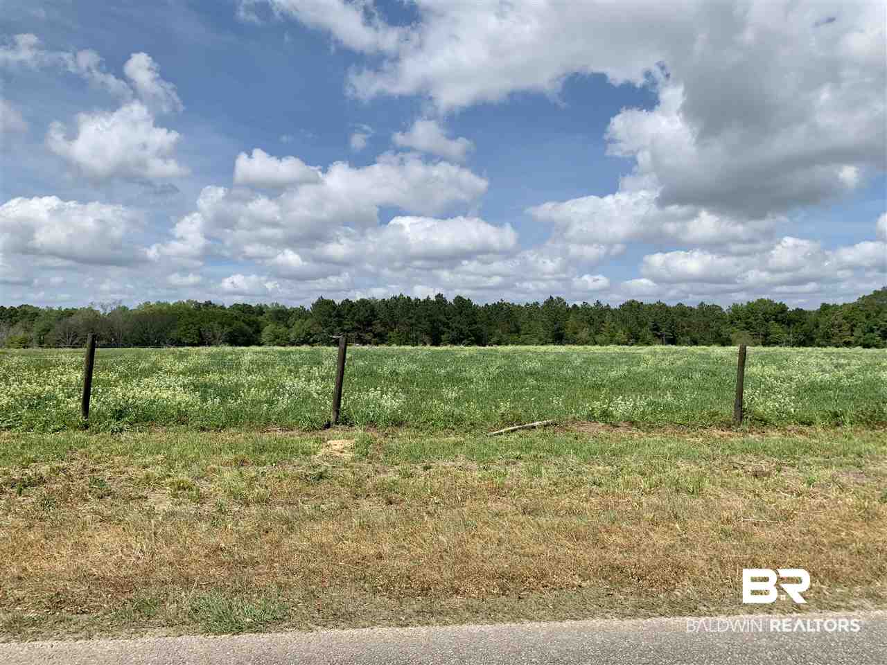 0 Baughman Road Silverhill, AL 36576 - Photo 1 of 1 Main