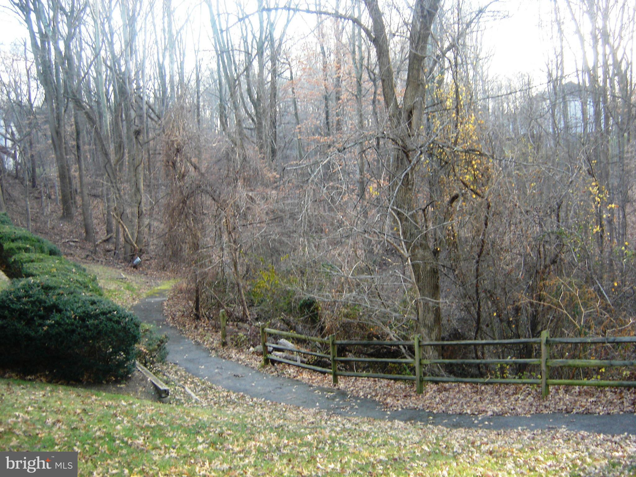 10421 Beacon Ridge Drive, Unit 303 Bowie, MD 20721 - Photo 24 of 25 Walking Path