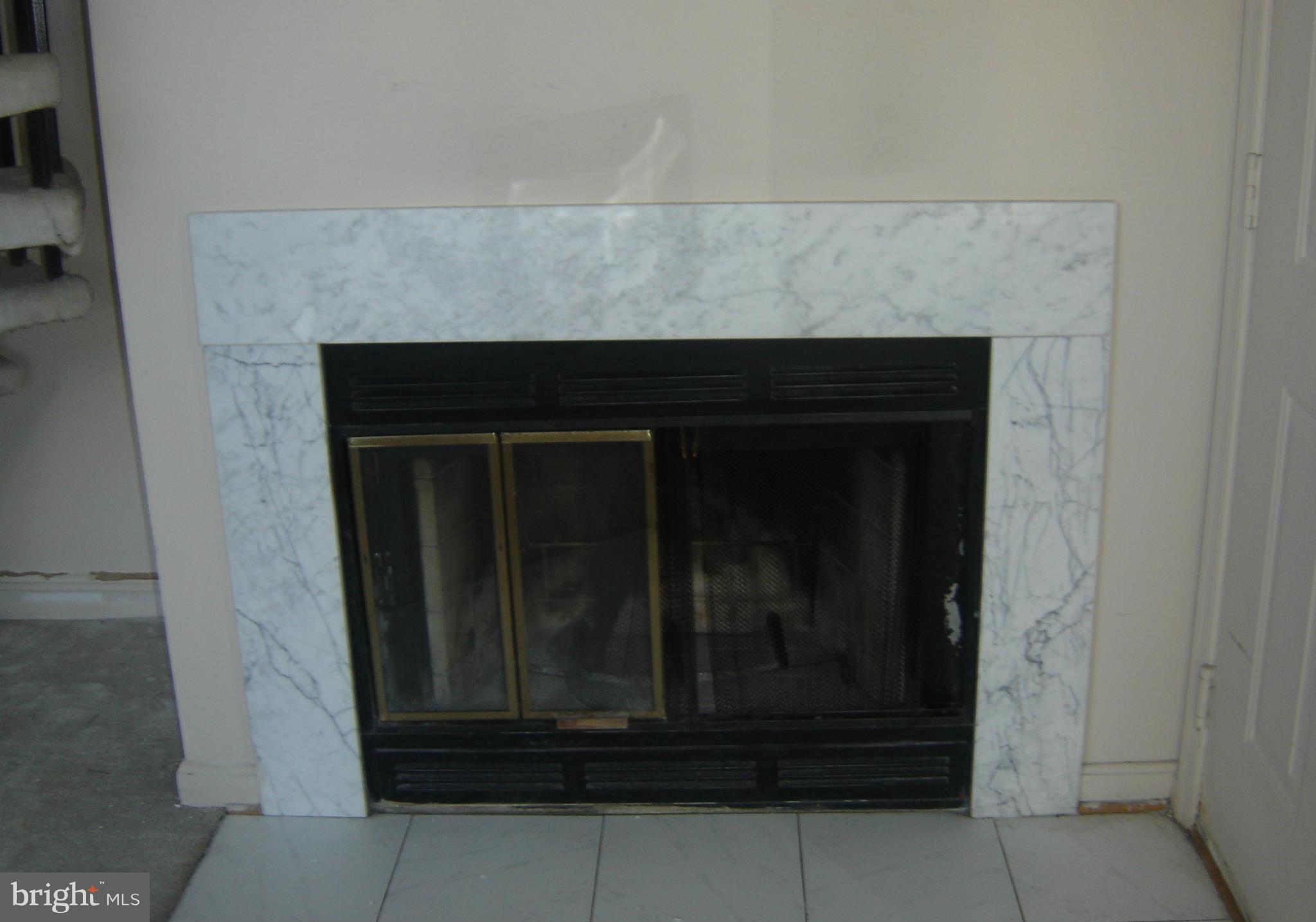 10421 Beacon Ridge Drive, Unit 303 Bowie, MD 20721 - Photo 10 of 25 Fireplace