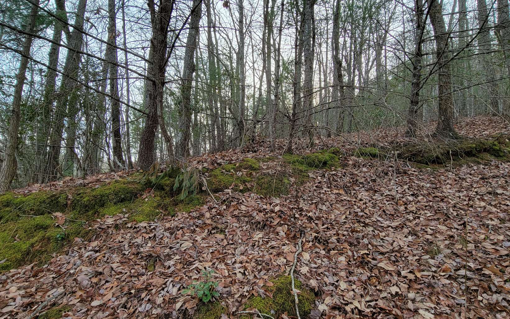 26 Beech Mountain Road Murphy, NC 28906 - Photo 2 of 8 Additional View