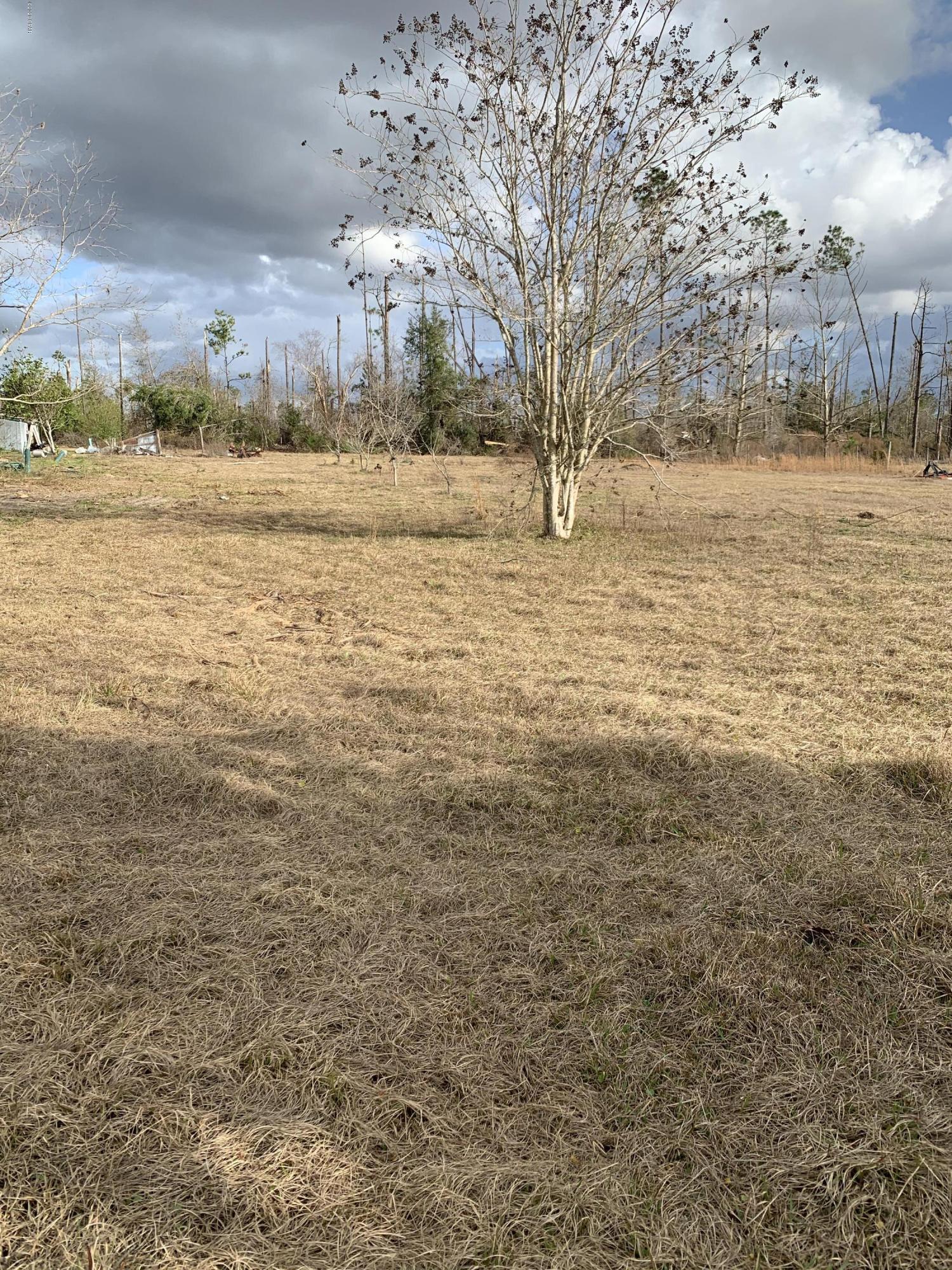 16691 Northeast Morgan Tucker Road Altha, FL 32421 - Photo 27 of 38 Gallery Image 27