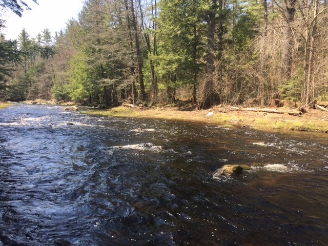Lyndeborough Road, Unit 69 New Boston, NH 03070 - Photo 1 of 14