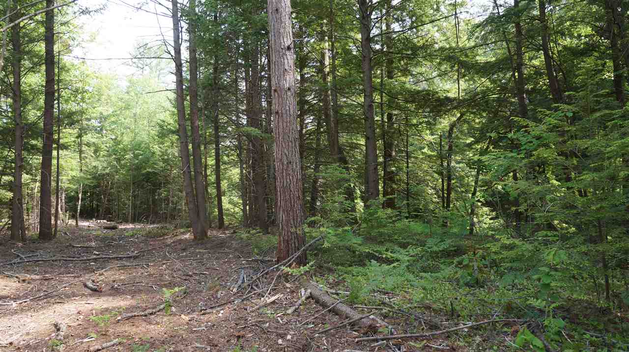 Lyndeborough Road, Unit 69 New Boston, NH 03070 - Photo 9 of 14
