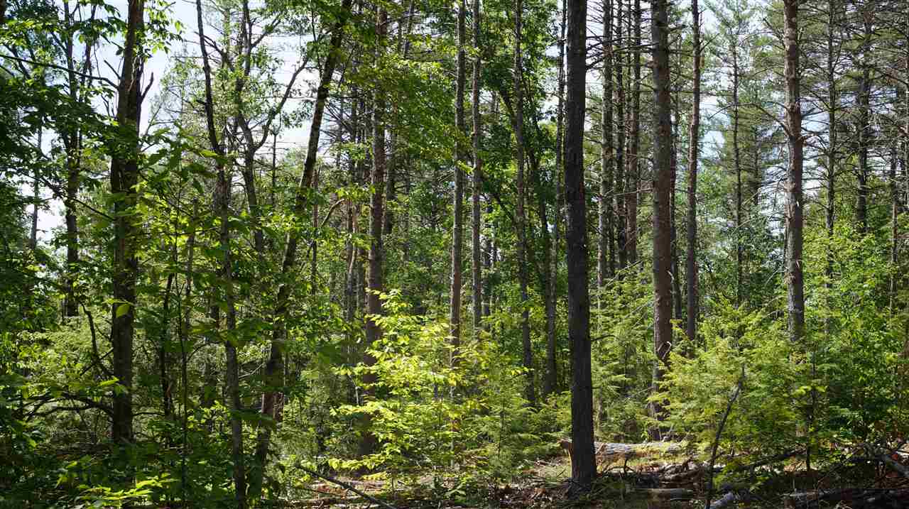 Lyndeborough Road, Unit 69 New Boston, NH 03070 - Photo 10 of 14