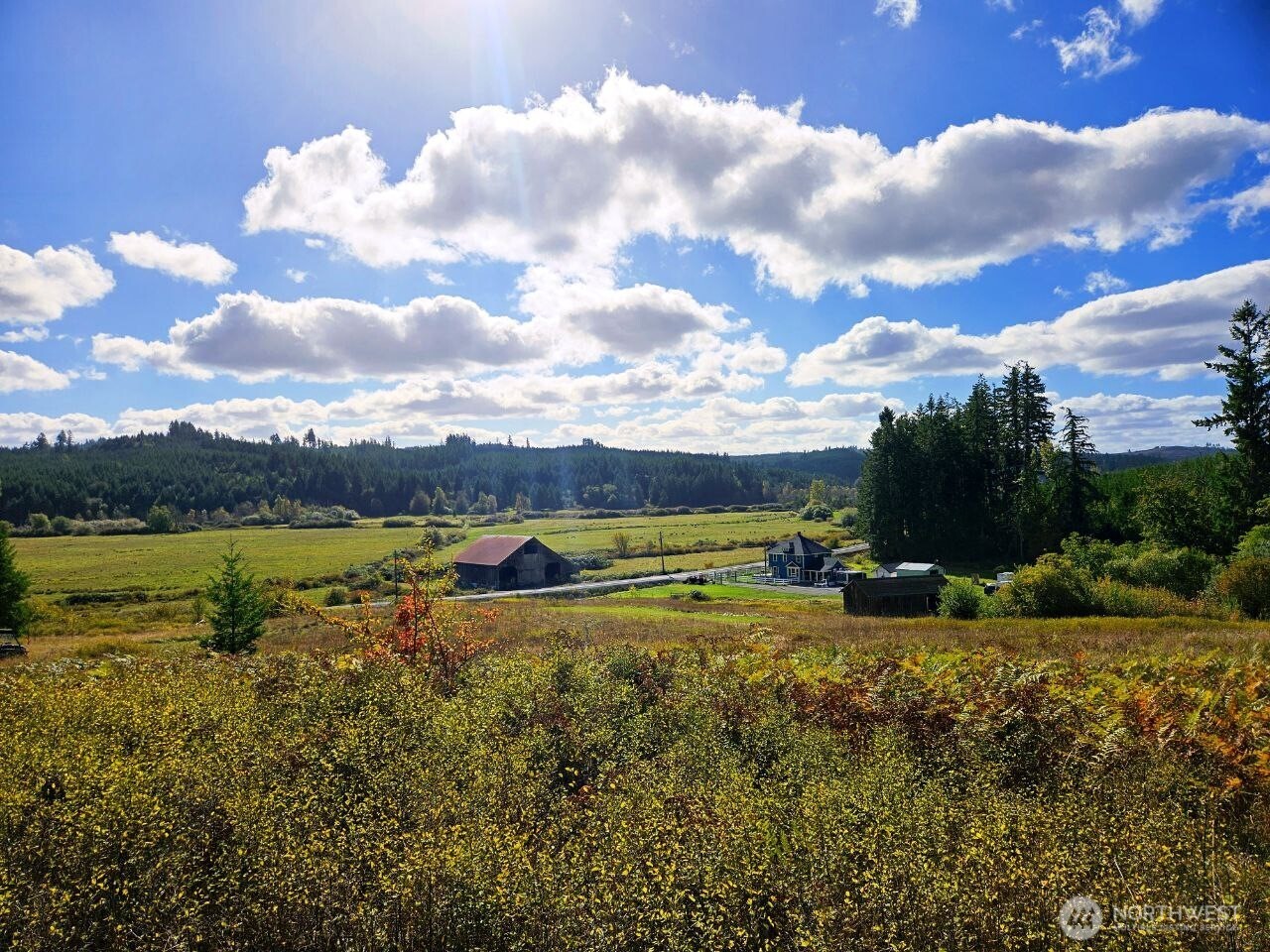 1604 Lincoln Creek Road Rochester, WA 98579 - Photo 37 of 37 a view of a lake with houses in the back