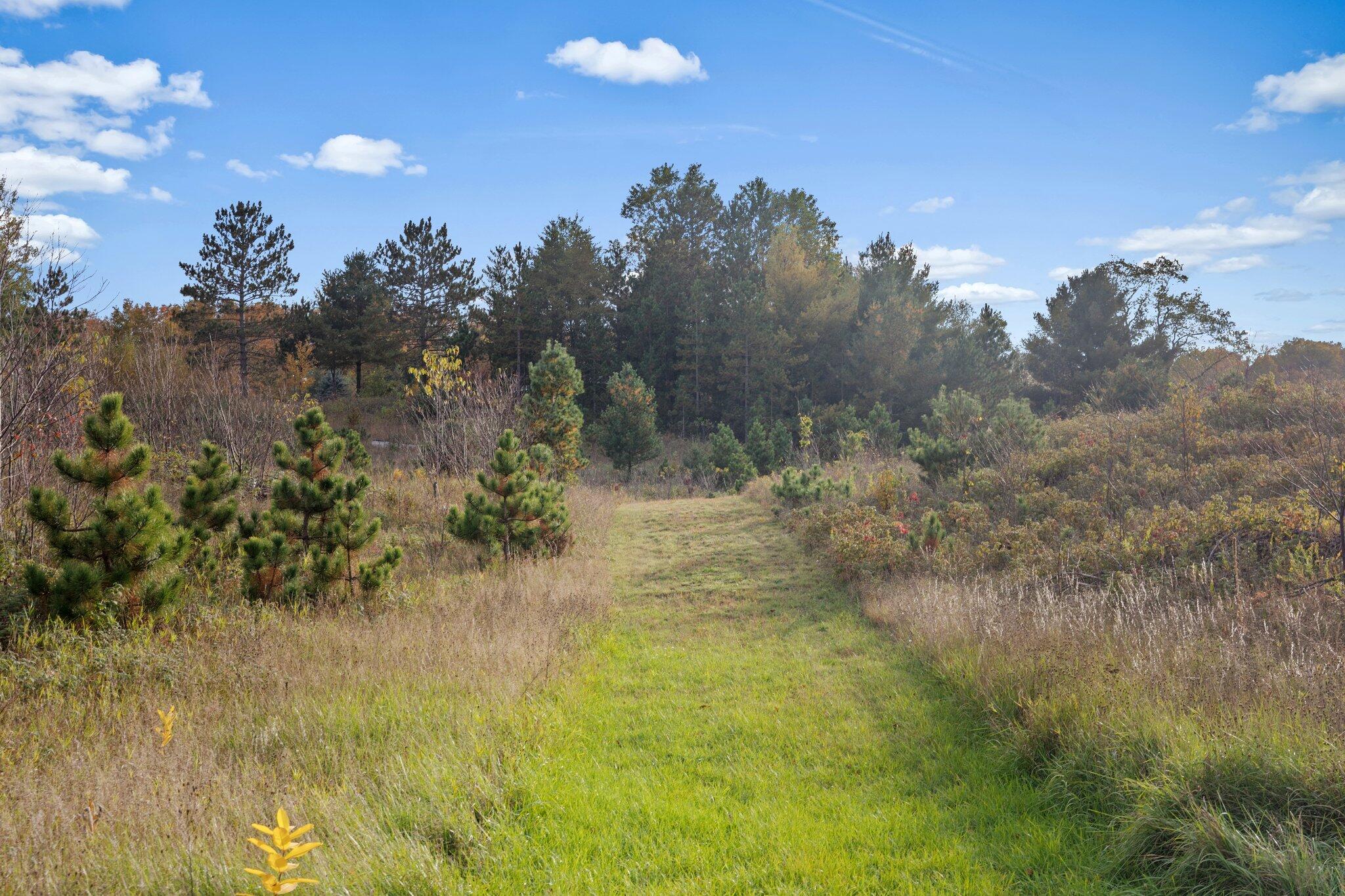 16 16 Mile Road Leroy, MI 49655 - Photo 1 of 66 9-web-or-mls-3C9A7125