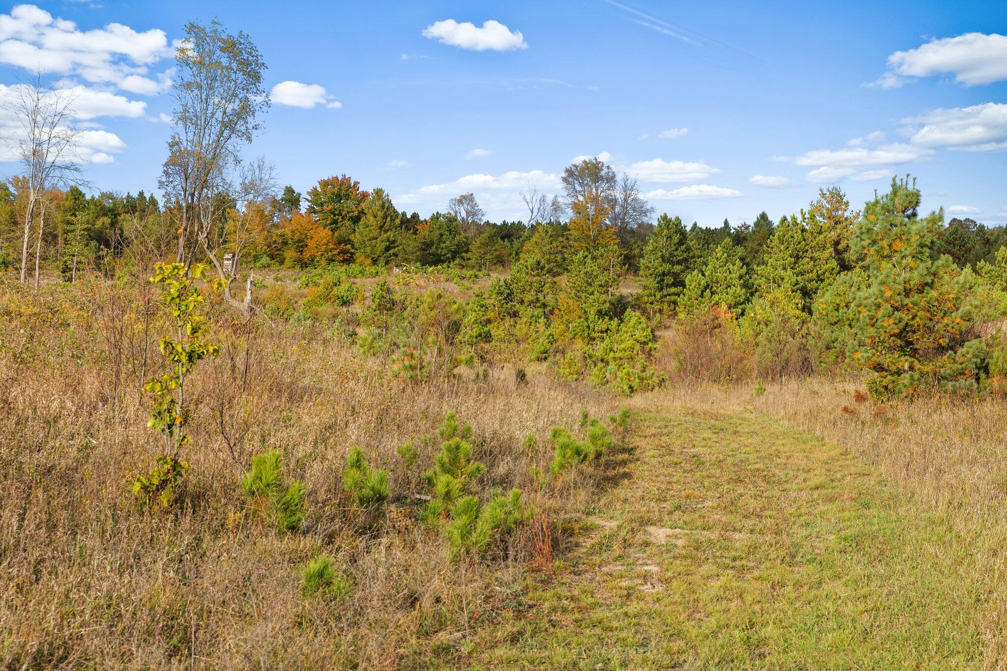16 16 Mile Road Leroy, MI 49655 - Photo 11 of 66 11-web-or-mls-3C9A7127
