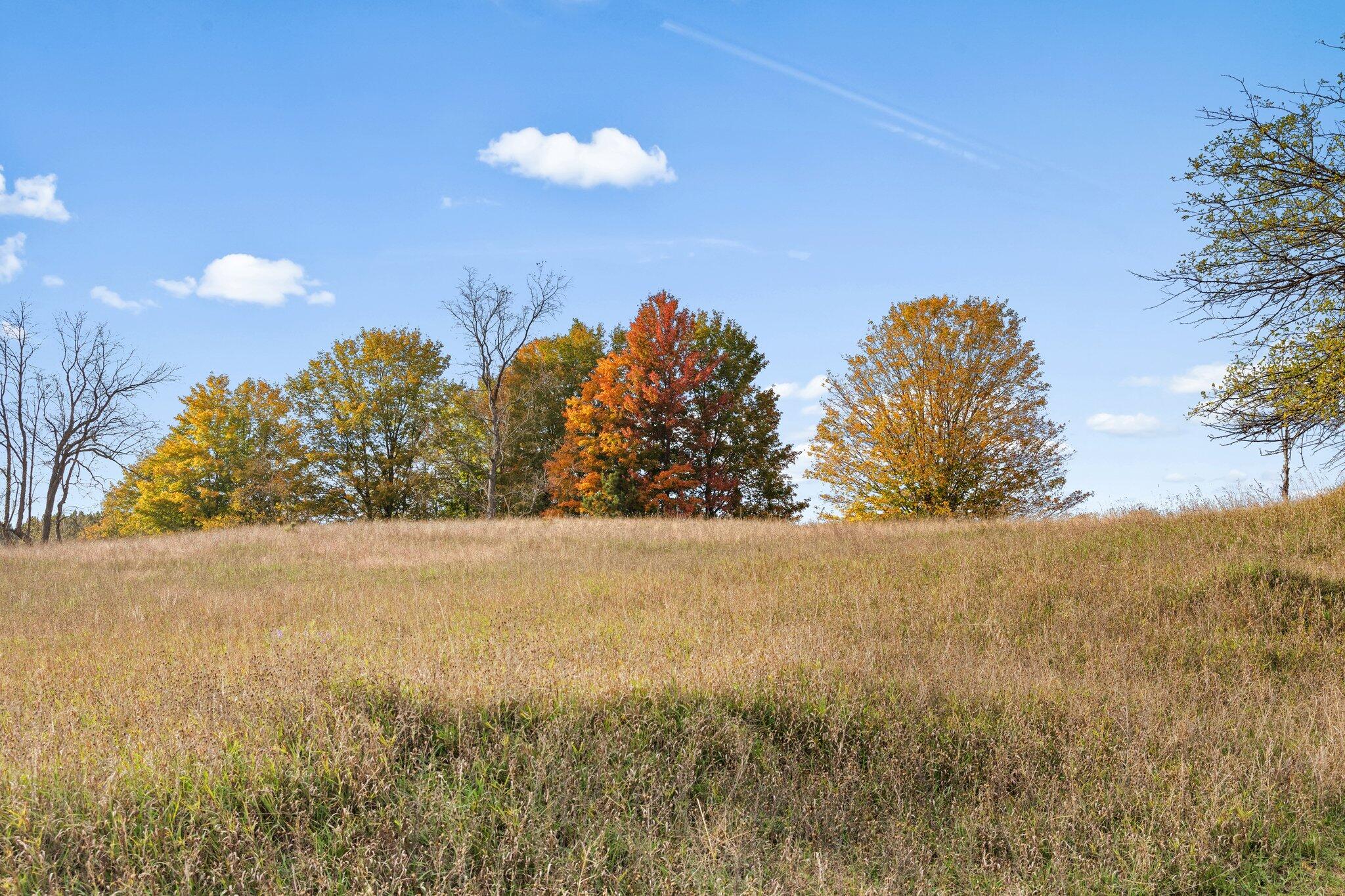 16 16 Mile Road Leroy, MI 49655 - Photo 12 of 66 12-web-or-mls-3C9A7128
