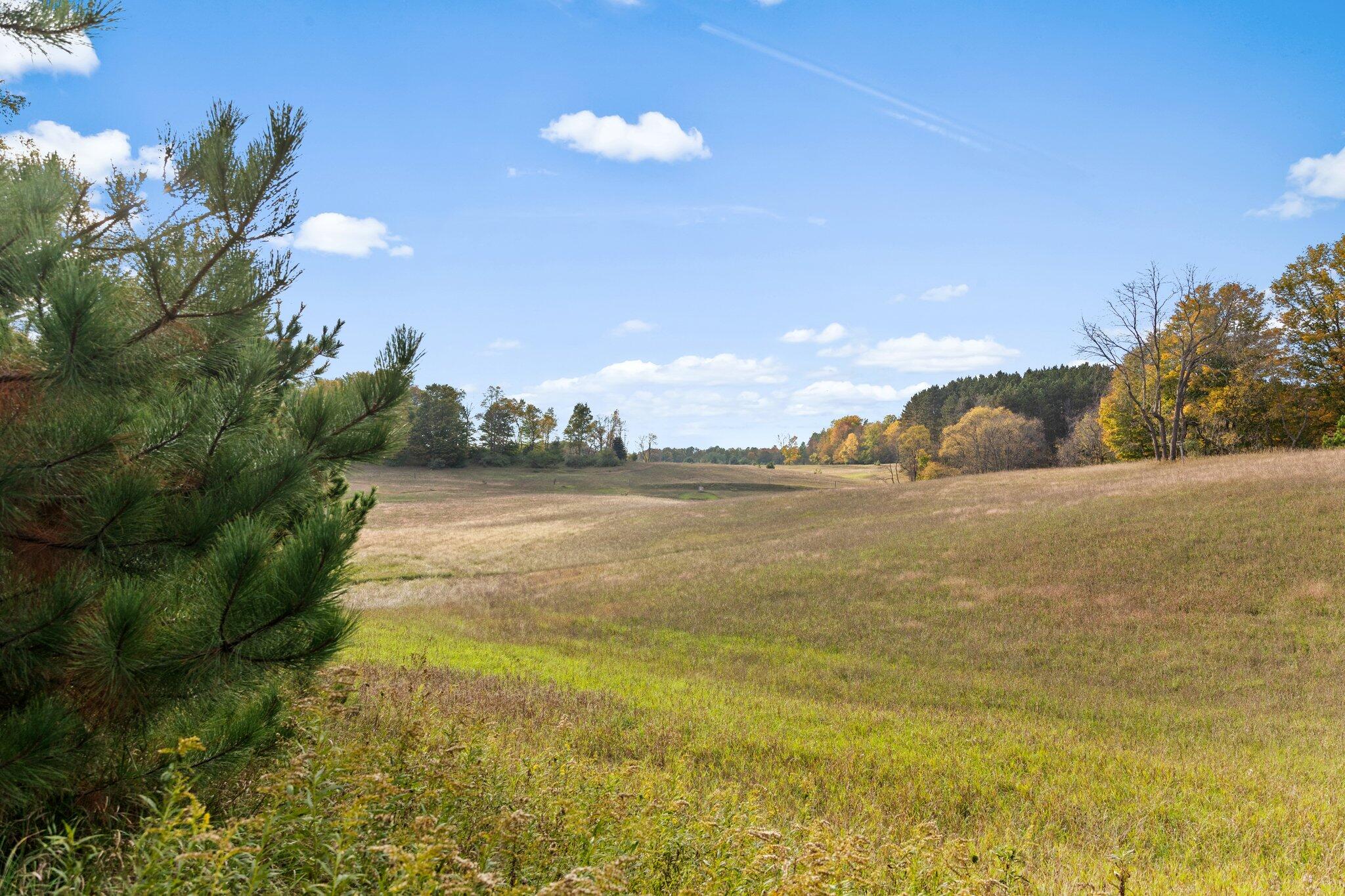 16 16 Mile Road Leroy, MI 49655 - Photo 13 of 66 13-web-or-mls-3C9A7129