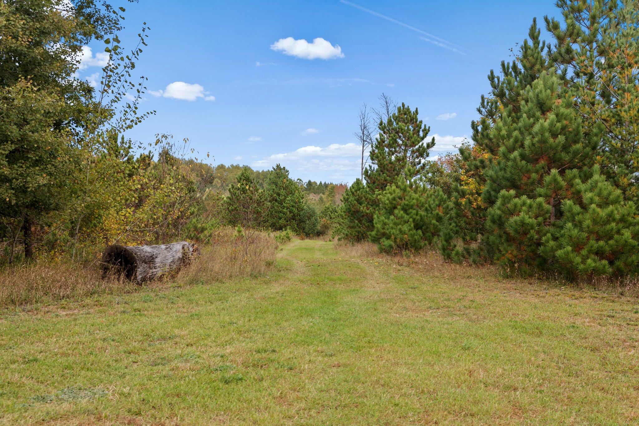 16 16 Mile Road Leroy, MI 49655 - Photo 2 of 66 1-web-or-mls-3C9A7116