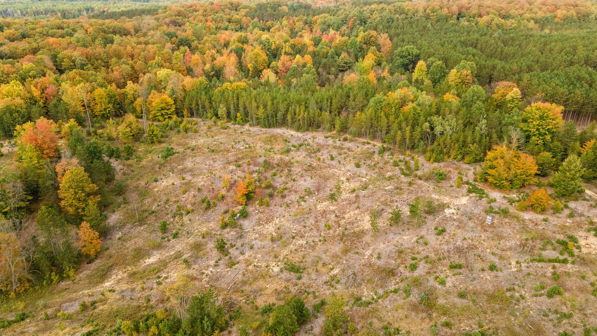 16 16 Mile Road Leroy, MI 49655 - Photo 21 of 66 58-web-or-mls-DJI_0528