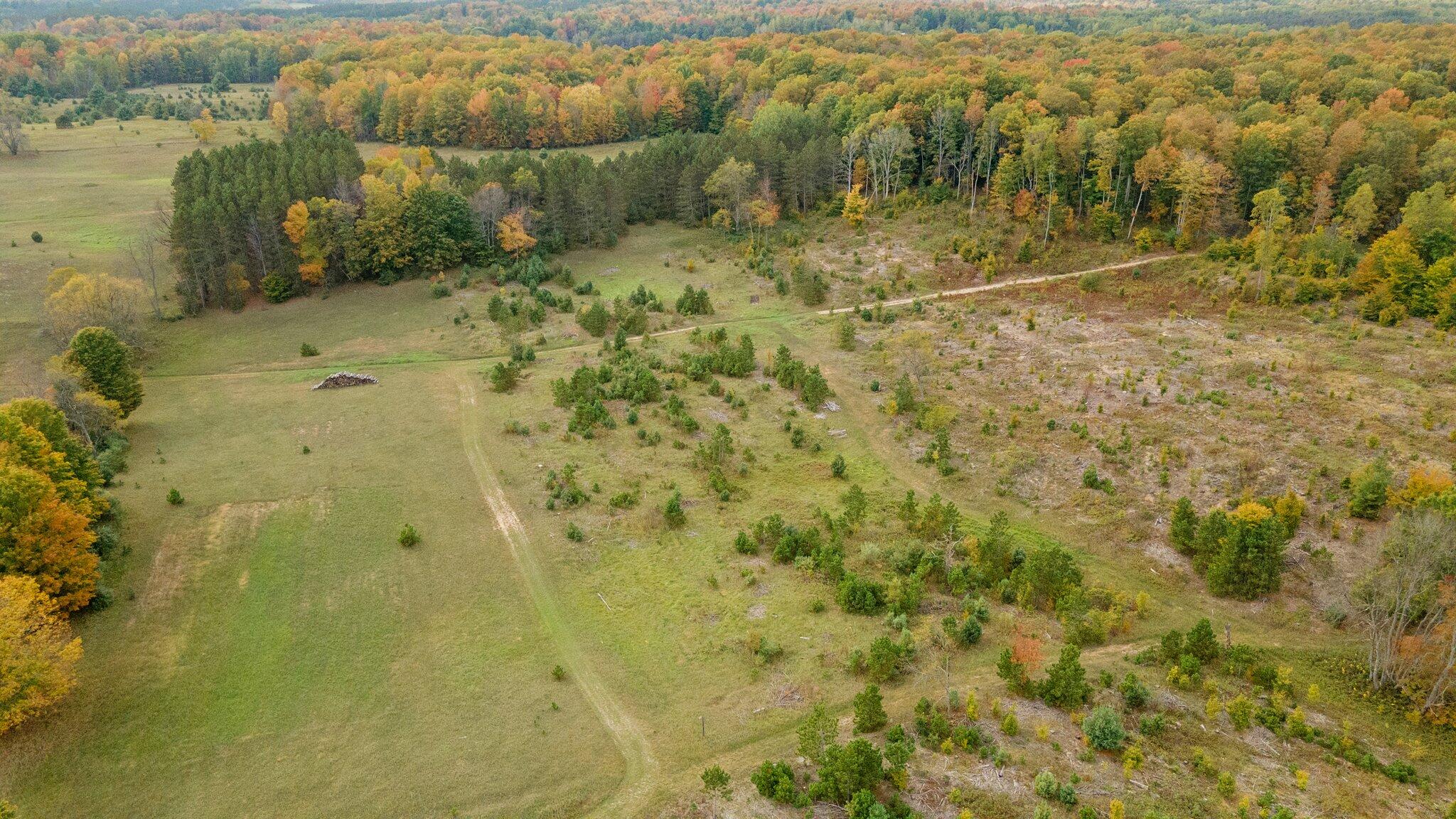 16 16 Mile Road Leroy, MI 49655 - Photo 23 of 66 60-web-or-mls-DJI_0530