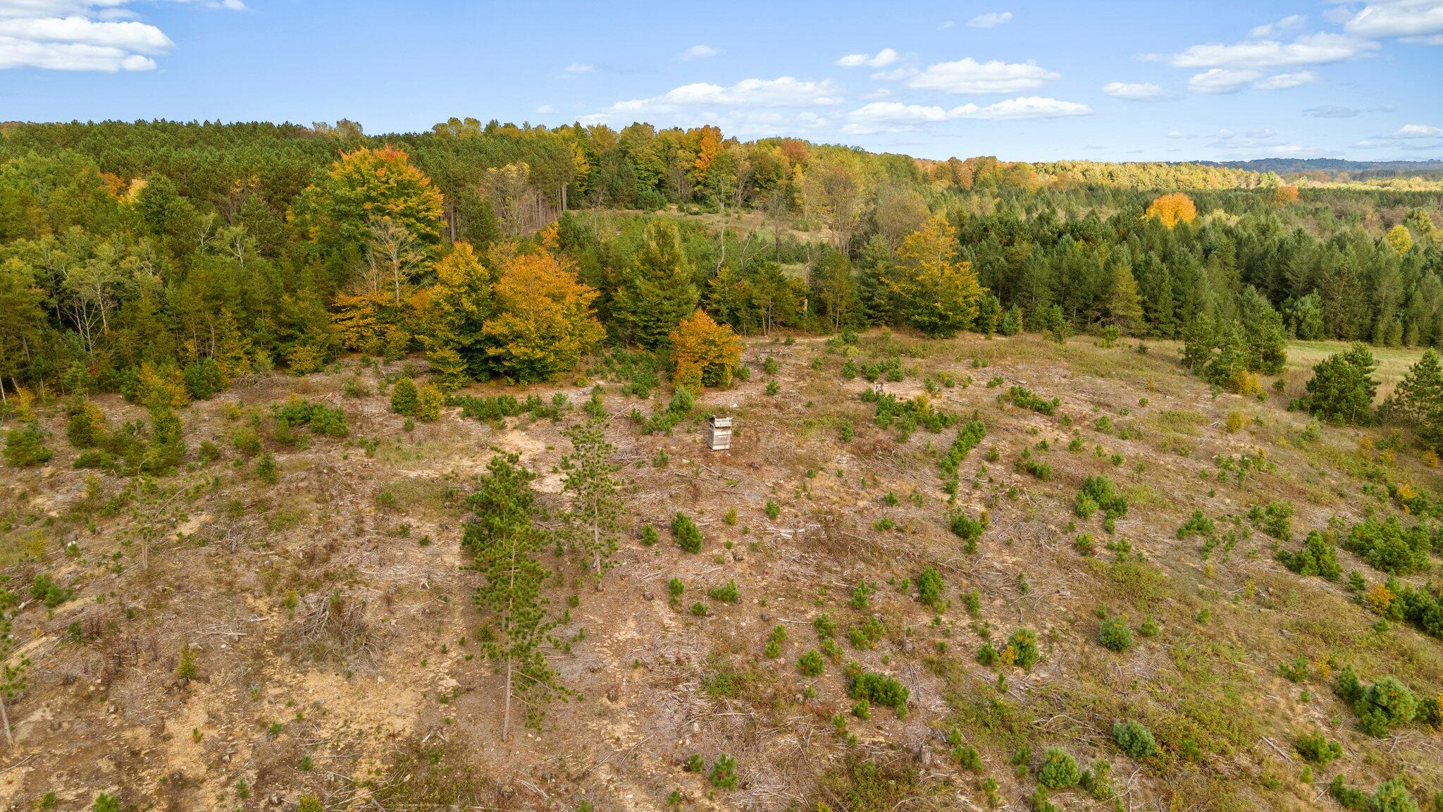 16 16 Mile Road Leroy, MI 49655 - Photo 26 of 66 63-web-or-mls-DJI_0537