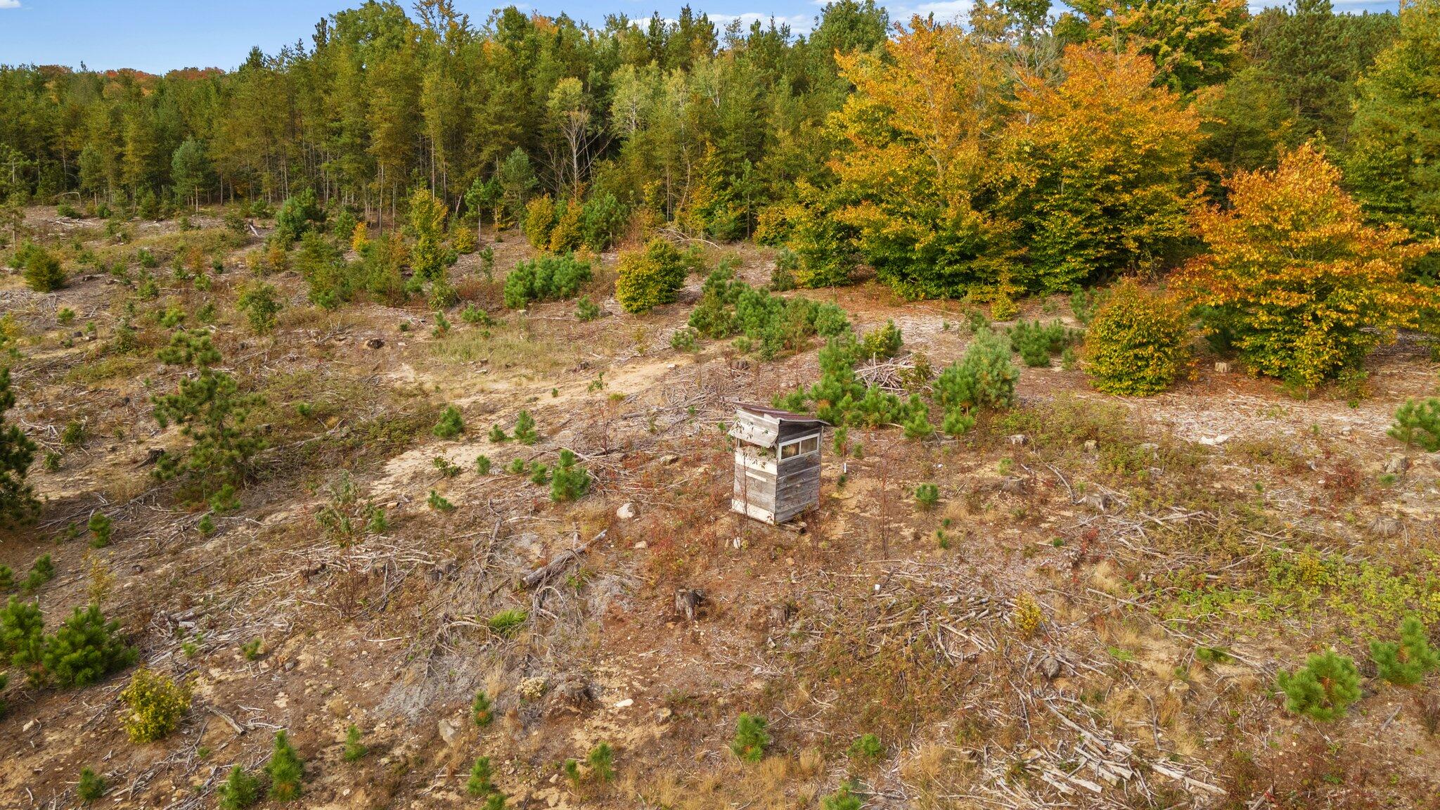 16 16 Mile Road Leroy, MI 49655 - Photo 27 of 66 64-web-or-mls-DJI_0539